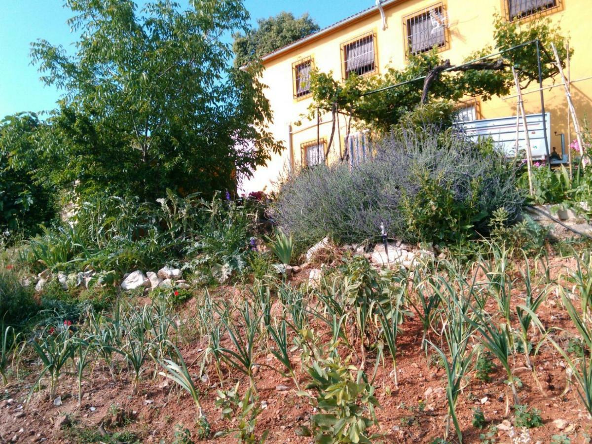 Cortijo De La Cruz Villa Iznájar Exterior photo
